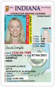 Some forms of identity are easily forged; Drivers license, Indiana, sample, government image
